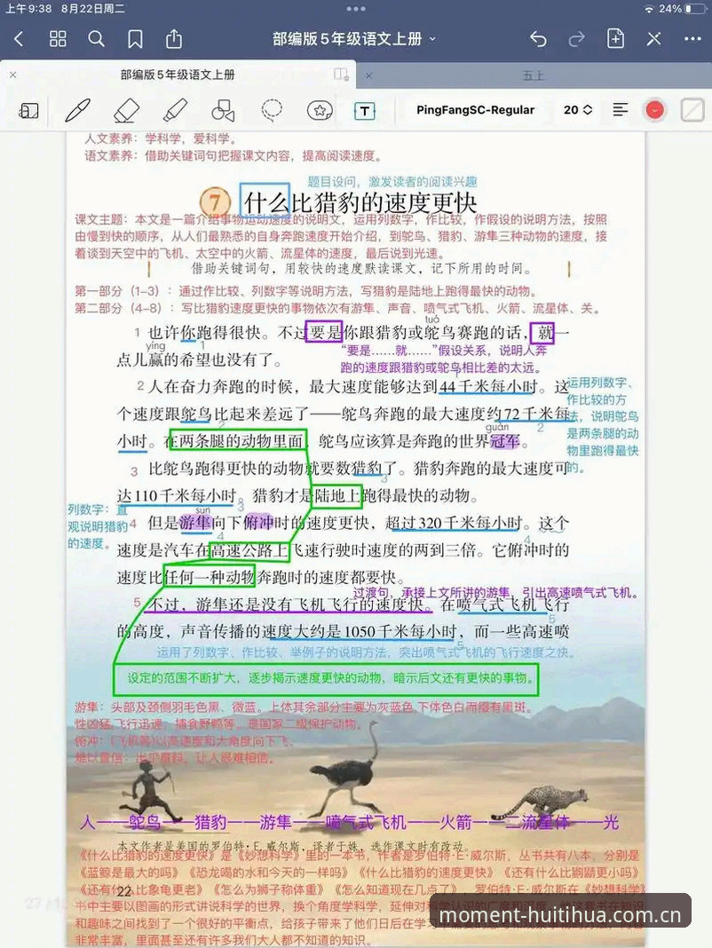 锚定此刻CN安卓 看懂J1速度榜的4个关键发现:从37.1km/h说起